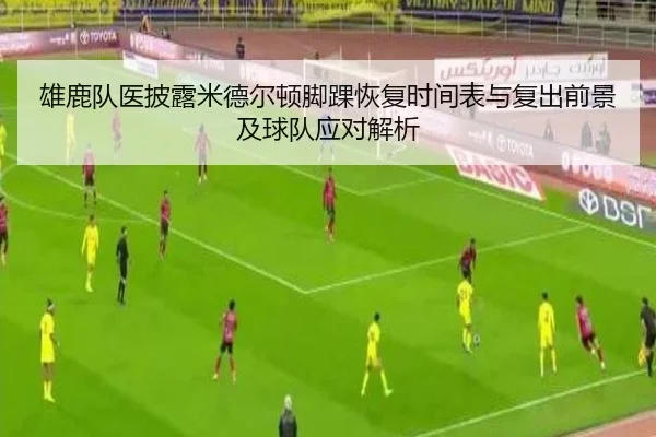 雄鹿队医披露米德尔顿脚踝恢复时间表与复出前景及球队应对解析
